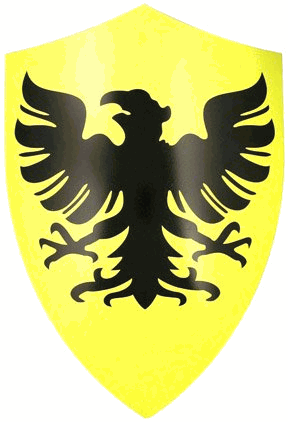 Medieval Eagle Shield