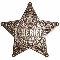 yhst 91791456840515 2270 49811303 - Lincoln County Sheriff Badge